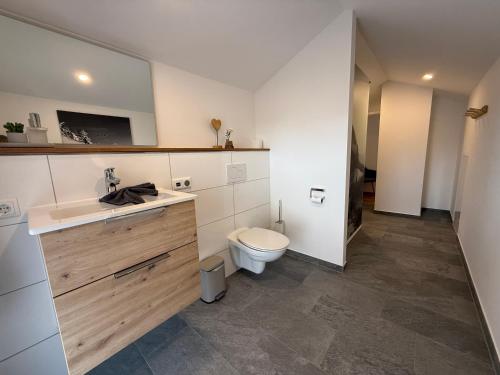 une salle de bains avec toilettes et lavabo dans l'établissement Haus Am Faltenbach - Ferienhäuser Alpenglück, à Oberstdorf