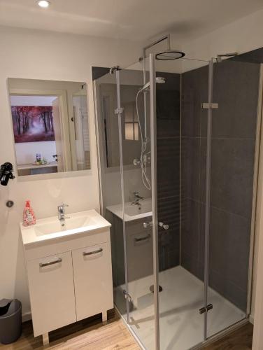 a bathroom with a shower and a sink at Stadtnah an der Förde 5501 in Flensburg