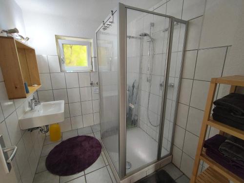 a bathroom with a shower and a sink at Ferienwohnung kleines Lautertal in Herrlingen