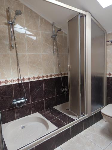 a bathroom with a shower and a sink and a toilet at Casa Vitral - Stained Glass House in Miranda do Douro