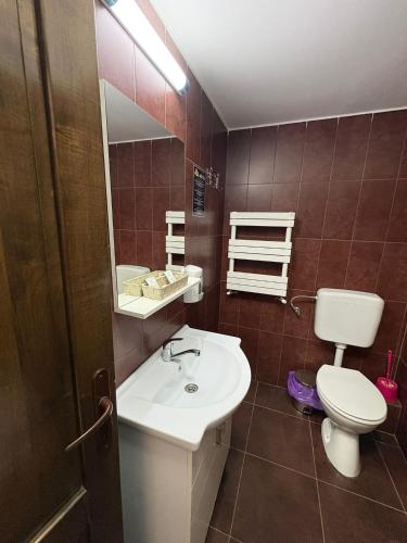 Gallery image of Hotel Abi in Baile Felix