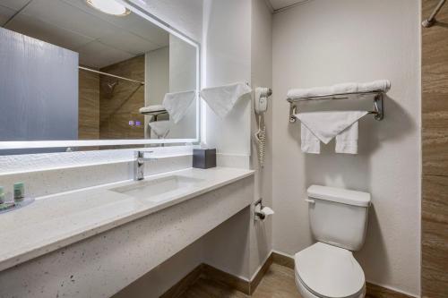a bathroom with a toilet and a sink and a mirror at Best Western Bolingbrook Hotel in Bolingbrook