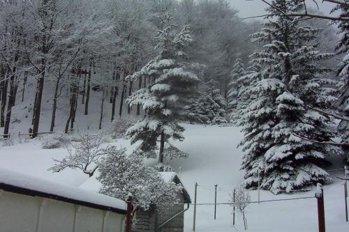 Billede fra billedgalleriet på Ferienhaus im Pochwerksgrund in Suhl Goldlauter im Thüringer Wald i Suhl