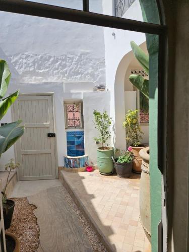 une chambre avec une porte et une bande de plantes en pot dans l'établissement DAR NAYA - Ghazoua - Essaouira, à Al Ghar