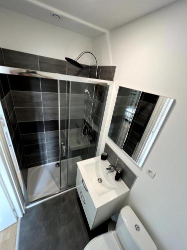 a bathroom with a toilet and a sink and a shower at Le Cosy, 2P Centre-ville in Liévin