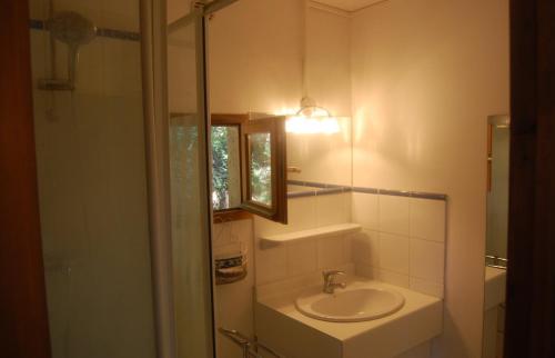 Un baño con lavabo y ducha con espejo. en Gite Du Bas - À La Rouquette, en Saint-Privat