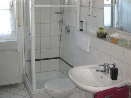 a bathroom with a toilet and a sink and a shower at Ferienhaus Wiese in Bruchhausen