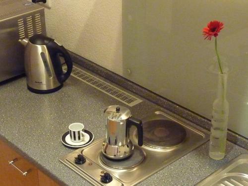 a flower in a vase sitting on a kitchen sink at Lessing-Apartment in Düsseldorf