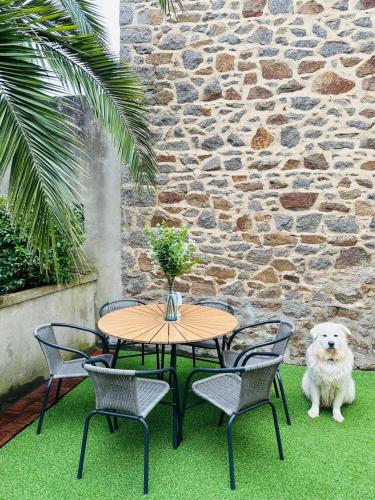 Domácí mazlíčci ubytovaní s hosty v ubytování DOLCE VITA