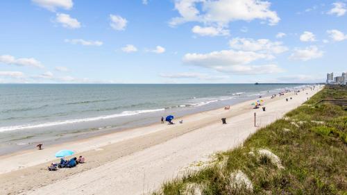 The Beach Is Back photo 53