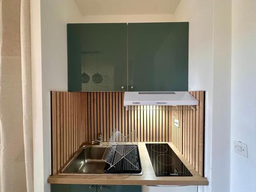 una cucina con lavandino e armadietto verde di Appartement à Manosque - Centre Historique a Manosque