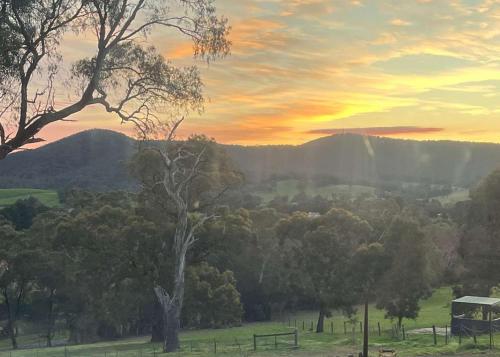a painting of a sunset in a field with trees at Gruyere Falls by Tiny Away in Gruyere