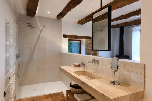 a bathroom with a sink and a shower at La Grange de Magdeleine in Salles-la-Source