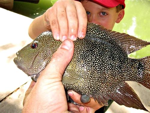 Ein Junge, der einen Fisch in den Händen hält. in der Unterkunft Friendship by the Water: Texas Tented Cabin Oasis for a Lakeside Getaway in Marion
