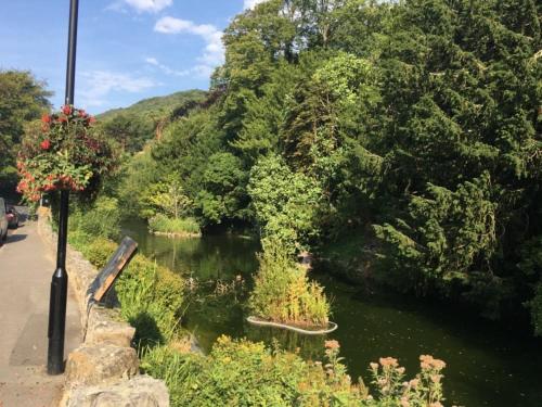 a river next to a road with trees at Grebe Cottage in Isle of Wight