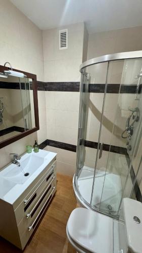 een badkamer met douche, wastafel en toilet bij Galteo Remedios in Ronda