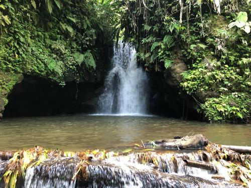 a waterfall in the middle of a pool of water at Hotel El Cielo en la Tierra in Quimbaya