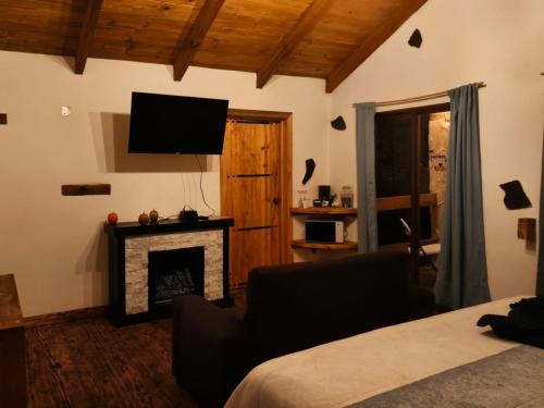 a bedroom with a fireplace and a television on the wall at Cedrito in Mineral del Chico