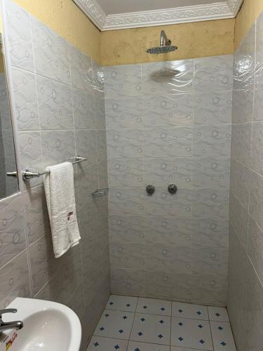 a bathroom with a shower and a sink at Kings Nest Lodge in Chibotero