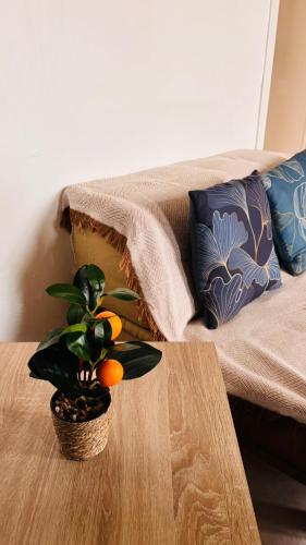 a table with a plant on it next to a bed at Côté Jardin - 3 people - Netflix in Melun