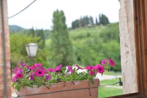 a pot of flowers sitting on a window sill at Alberto Charming Home in Montepulciano