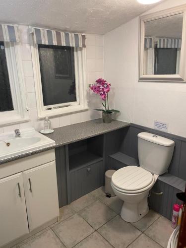 a bathroom with a white toilet and a sink at 2 Bed Barn - Sleeps 4 - Pets - Parking - Wifi in Downham Market