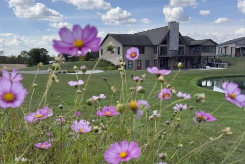 a field of flowers in front of a house at Maple Brook Memories in Amanda