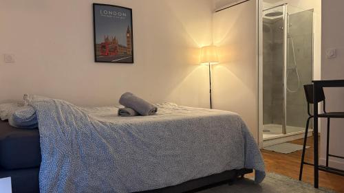 a bedroom with a bed and a glass shower at Les Studios de Clément in Poitiers