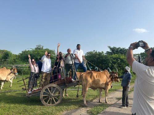 Imagine din galeria proprietății ShivaRewa Village stay în Maheshwar