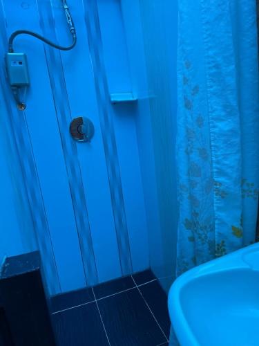 a bathroom with a blue shower curtain and a toilet at Villas del Rio Glamping in San Francisco