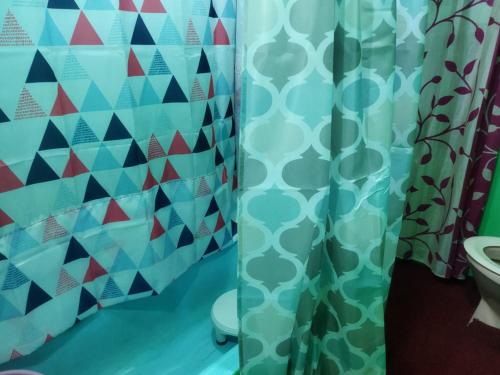 a bathroom with a shower curtain and a toilet at Holiday Home in Srinagar