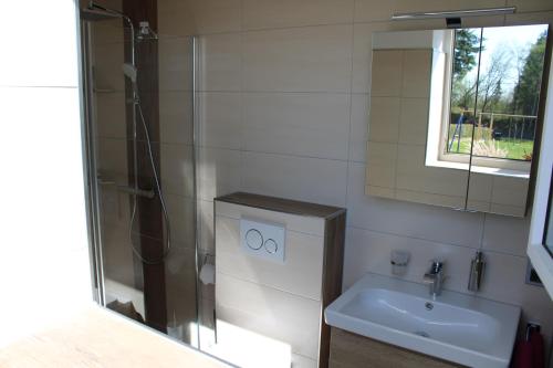 a bathroom with a shower and a sink and a mirror at Ferienwohnung Kaiser in Reifferscheid
