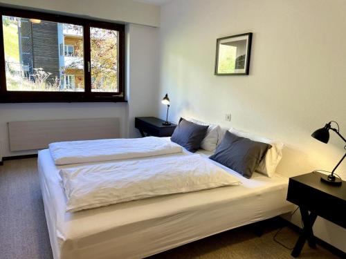 Alpine Apartment Davos Parsenn