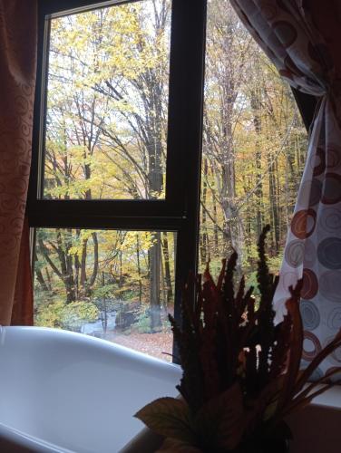 BlidariにあるCabana Aframe Blidariの鉢植えの植物を通して見える森の窓辺の景色