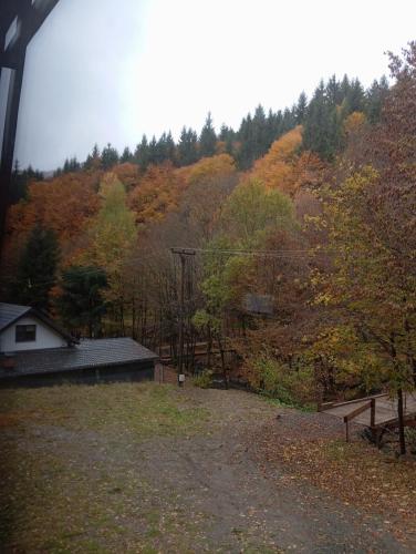 キャンプ場の近くで見られる自然の景観