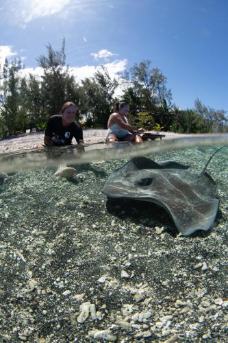 Manomano Lodge, hébergement à Tahiti