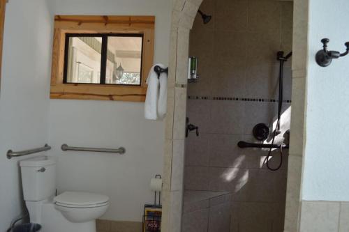 un bagno con wc e doccia con finestra di Mystic Hill Suites a Cloptins Crossing