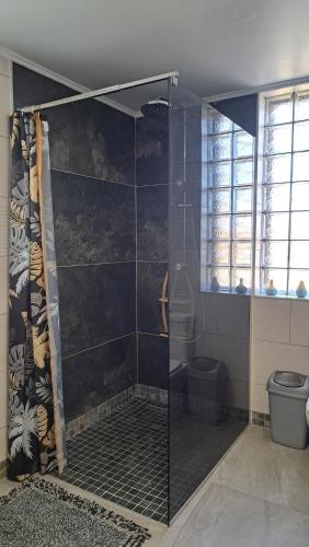a bathroom with a shower and a toilet at La Kaz Héliconias in Le Tampon