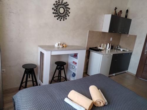 Kuchyň nebo kuchyňský kout v ubytování Studio ISKRA Novi Sad