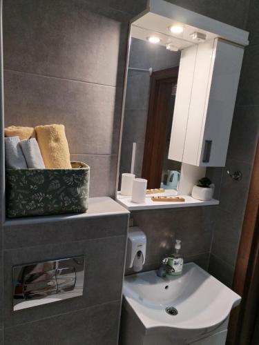 a small bathroom with a sink and a mirror at Studio ISKRA Novi Sad in Pasuljište