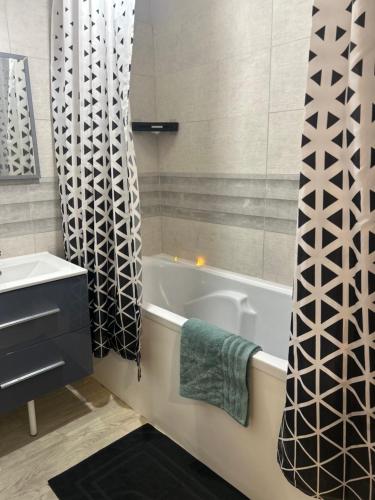 La salle de bains est pourvue d'une baignoire et d'un rideau de douche. dans l'établissement Les studios Happy - Local vélo, à Verdun-sur-Meuse