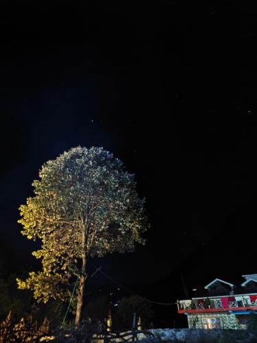 Un árbol iluminado por la noche con un cielo negro en Nirvana River Nest, en Sainj