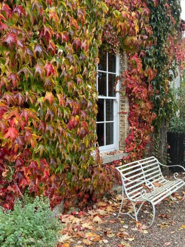 Zahrada ubytování The Old Presbytery