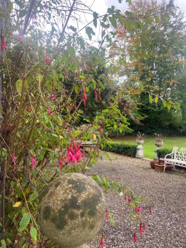 Zahrada ubytování The Old Presbytery