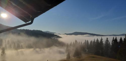 Una vista de un valle brumoso con árboles y el sol. en Bucovina Sky View, en Gura Humorului