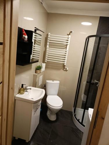 een badkamer met toilet, wastafel en douche bij Apartament w Słupcu na Radkowskiej in Nowa Ruda