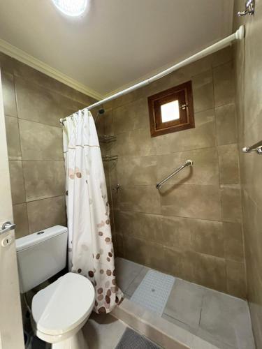 a bathroom with a toilet and a shower at Departamentos Turísticos MD in El Calafate