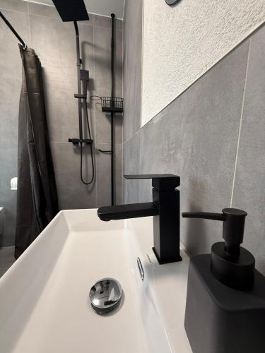 a bathroom with a sink with a faucet at Ruhige Apartments an der Donau - Schwaben Living in Munderkingen