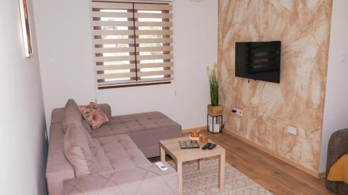 SirogojnoLazarev konak的带沙发和电视的客厅