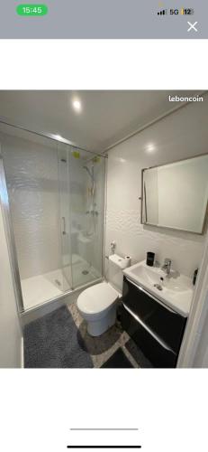 a bathroom with a shower and a toilet and a sink at Paris studio in Villeneuve-la-Garenne